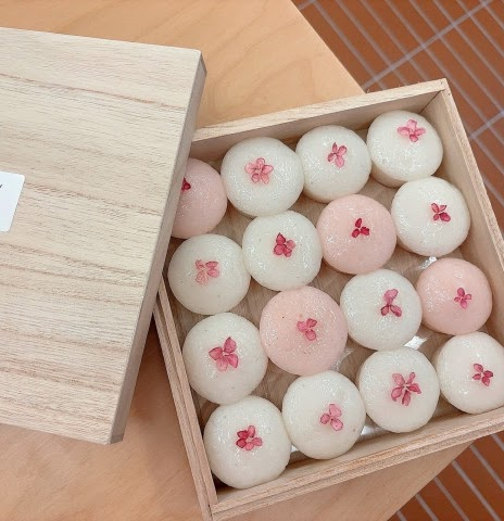 벚꽃 찹쌀떡 세트 - 1
